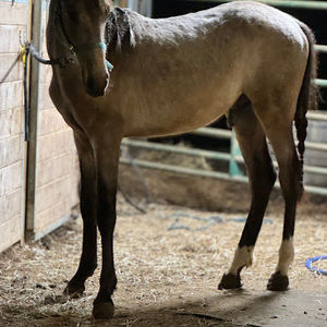 Meet your Posher, Kennedy